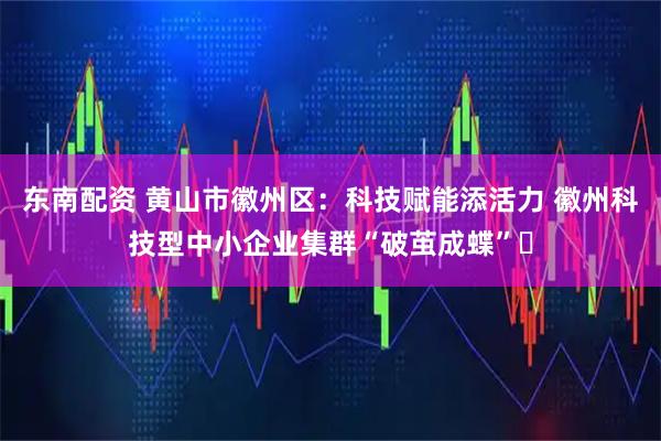 东南配资 黄山市徽州区：科技赋能添活力 徽州科技型中小企业集群“破茧成蝶”​