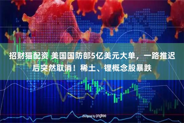 招财猫配资 美国国防部5亿美元大单，一路推迟后突然取消！稀土、锂概念股暴跌