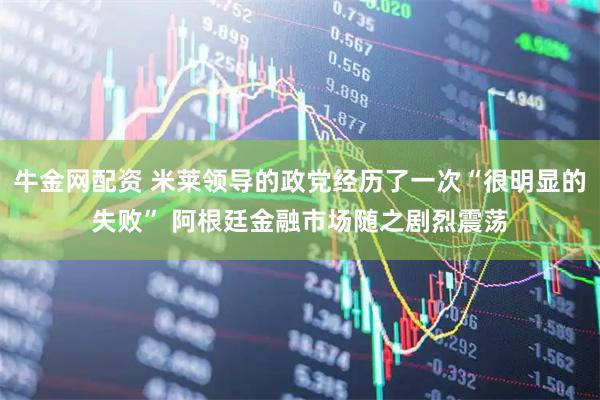 牛金网配资 米莱领导的政党经历了一次“很明显的失败” 阿根廷金融市场随之剧烈震荡