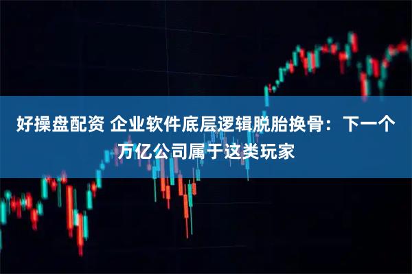 好操盘配资 企业软件底层逻辑脱胎换骨：下一个万亿公司属于这类玩家